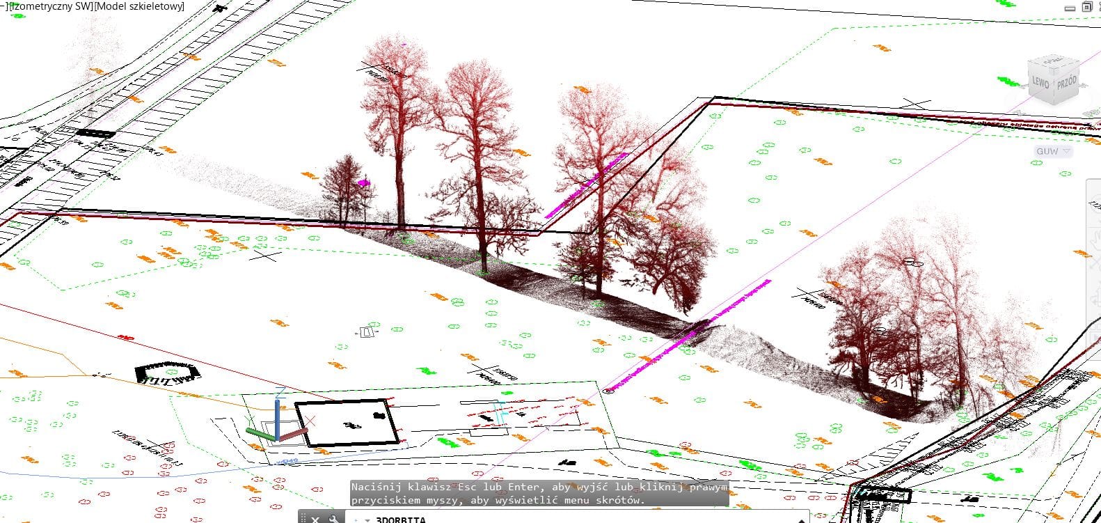 inwentaryzacja 3D drzew
