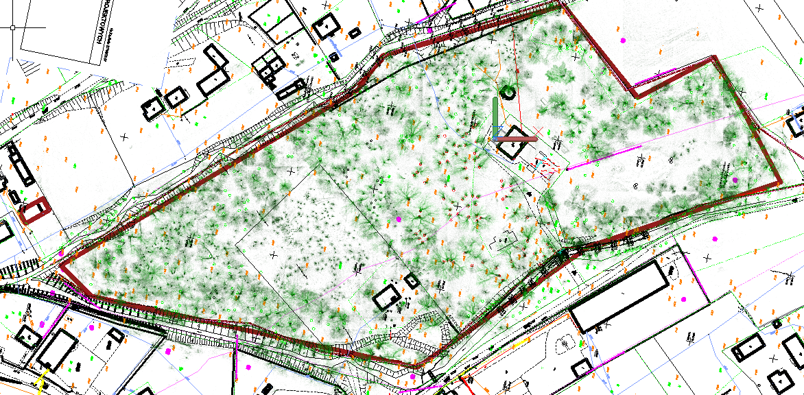 mapa 3D drzewostanu
